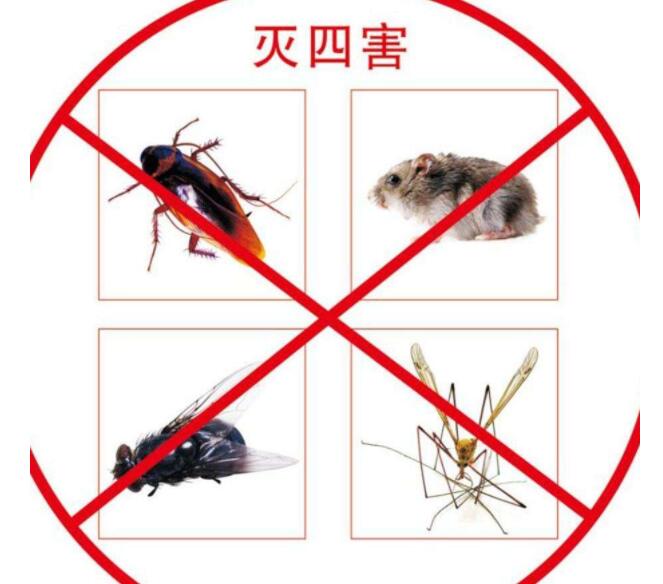 如何快速高效的获取有害生物防制资质